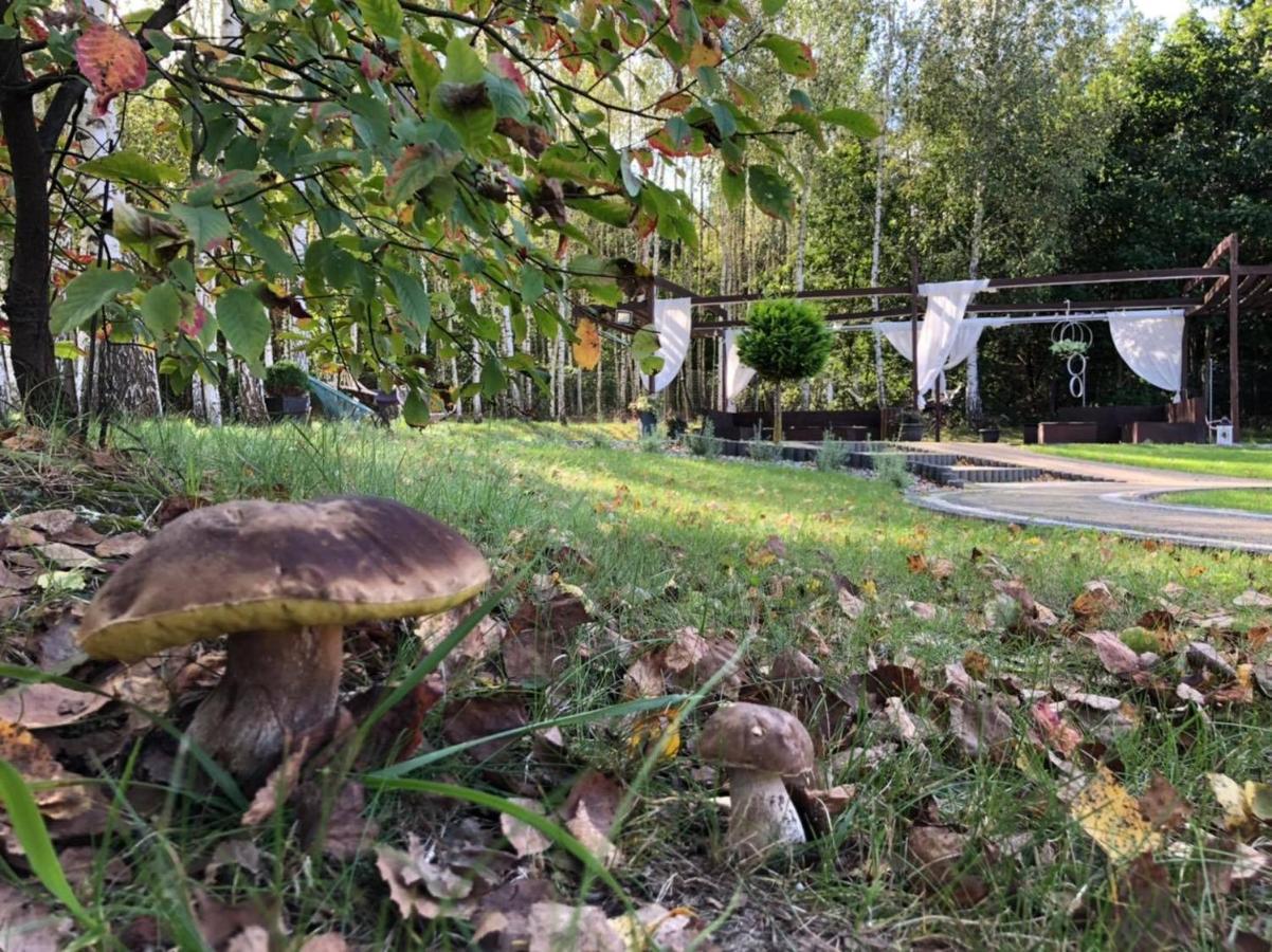 Gosciniec Pod Lasem Grabowce Dolne Exterior foto